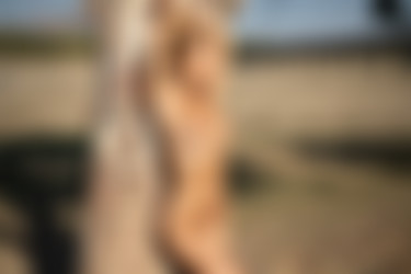 [photodromm.com] 2020-09/[photodromm.com] - 2020.09.28 - Darya - Flower Daughter II (x46) 2000x3000/18l.jpg