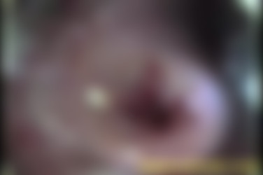 [SEG] Mia Sweet/[ButtCam.com] Mia/clip_1_high_all.wmv